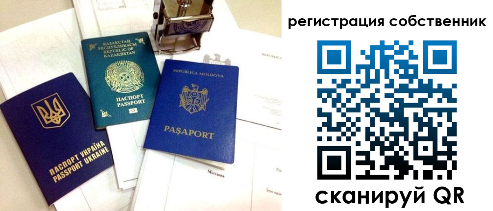временная регистрация поиск в Волгоградской области